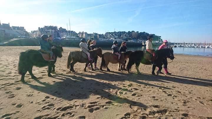 Baptemes poney