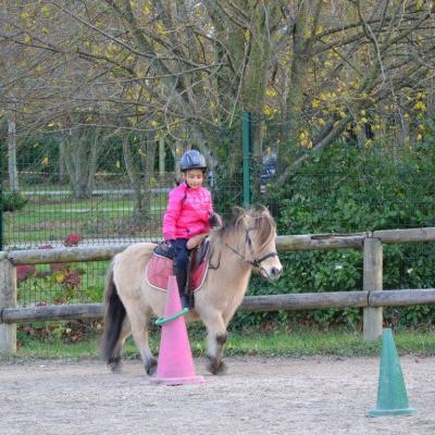 Equifun